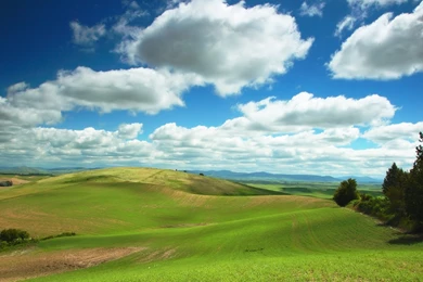 Computer Meadow Wallpapers, Desktop Backgrounds 1366x768px Id