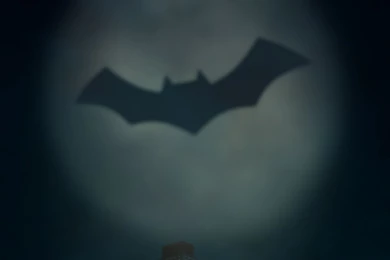 The Bat Signal   Beware the batman Wiki   Wikia