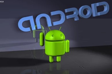 Set Portrait Wallpapers On Android   WPer Wallpapers