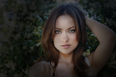 155 Olivia Wilde HD Wallpapers