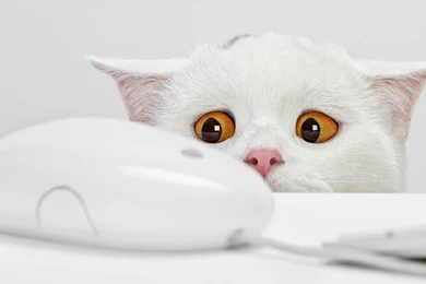 Creative Wallpapers HD Free Download