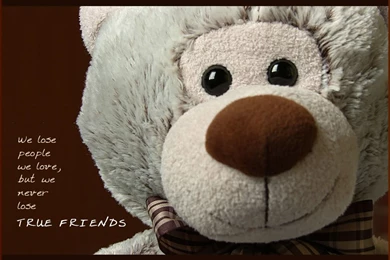 Download Wallpapers Free: Friendship Wallpapers For Desktop