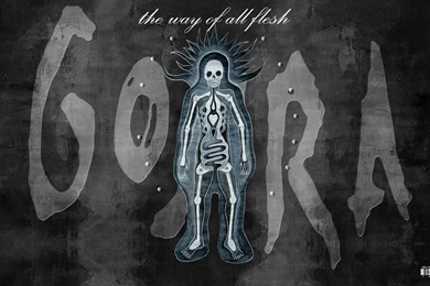 10 Gojira HD Wallpapers