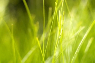 Wallpapers Iphone 4 Apple 640 X 960 Awesome Hi Quality