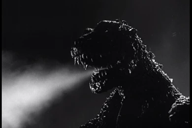 Top Gojira Wallpapers