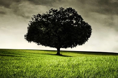 Wallpapers For Iphone 5