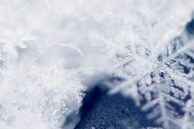 Winter Iphone 6 Plus Wallpapers