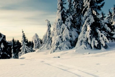 Nature Winter Snow Mobile Wallpapers   Mobiles Wall