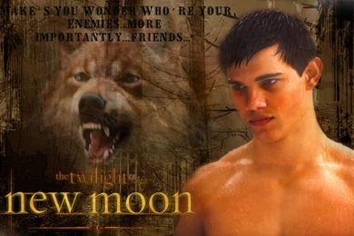 Wallpapers Twilight New Moon