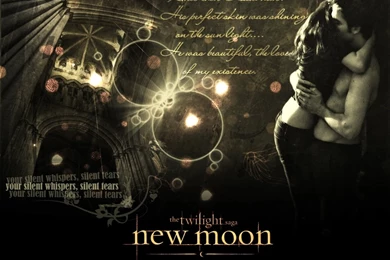 New Moon Twilight 2 Wallpapers From Twilight Series Wallpapers