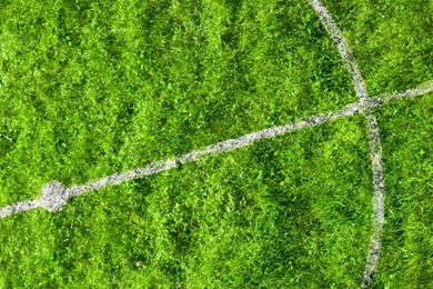 Soccer Field iPhone Wallpapers
