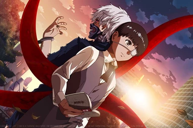 Tokyo Ghoul Wallpapers HD Collection Of Tokyo Ghoul Anime