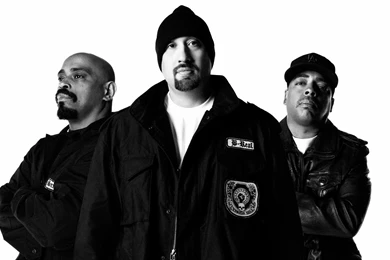 1116x834px Cypress Hill