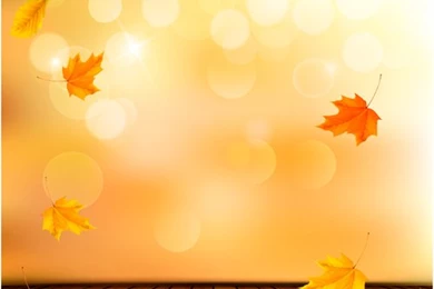 free fall backgrounds images wallpapers fall background for powerpoint