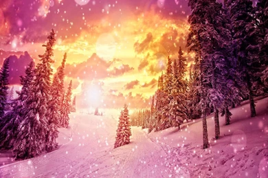 Amazing HD Winter Wallpapers
