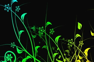 Bush iPhone Wallpapers, iPhone 5(s)/4(s)/3G Wallpapers