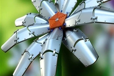 Flowerings iPhone Wallpapers, iPhone 5(s)/4(s)/3G Wallpapers