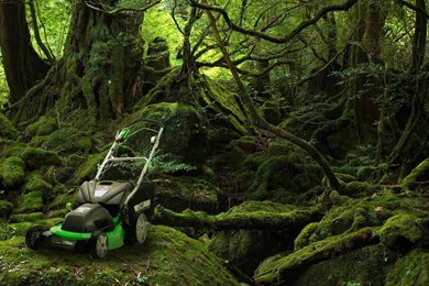 Promotional Flyers – Complimenting And Contrasting Backgrounds ...