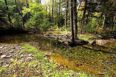 Updates From October 7,