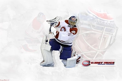 Wallpapers Price 2015   Grasscloth Wallpapers