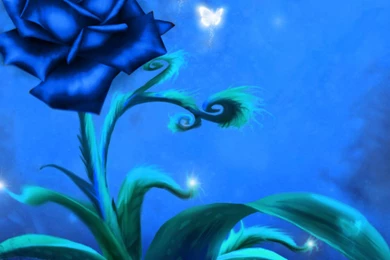 Best Blue Rose Wallpapers, Rose Flower Images, Rose Pictures And ...