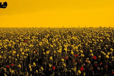 Wu Tang Clan Gangsta Rap Hip Hop Free Desktop Backgrounds And ...