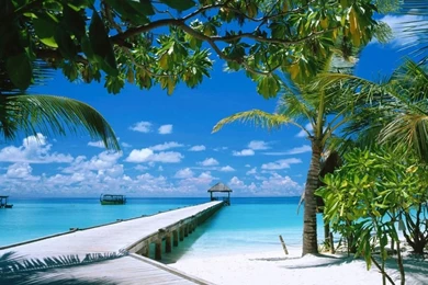 Free Beach Desktop Backgrounds   Wallpapers Cave