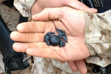 Video Clip: Receiving The Eagle, Globe, And Anchor   WXOW News 19 ...