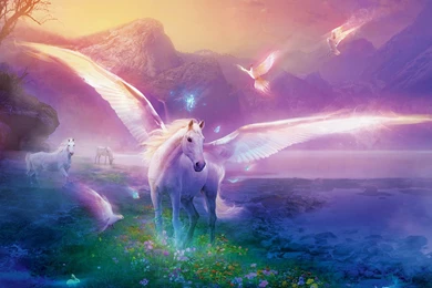 Top Enchanted Pictures