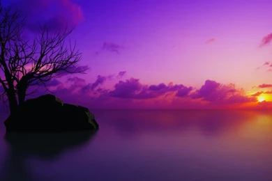 Rich Natural Color Wallpapers Picture 1280x1024 Laptop Wallpaper