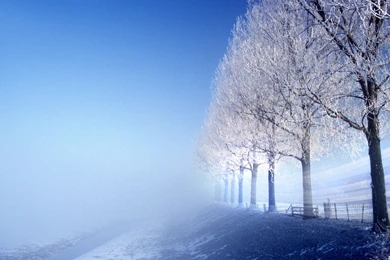 Winter, Background, Tears, Desktop, Responses (