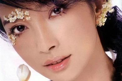 Chinese Model Girl   Lee Bing Bing Photos 13   Wallcoo.net