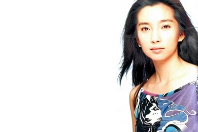 Chinese Model Girl   Li Bingbing Photos 3   Wallcoo.net