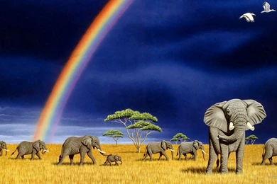 Elephant Wallpapers » WallDevil   Best Free HD Desktop And Mobile ...