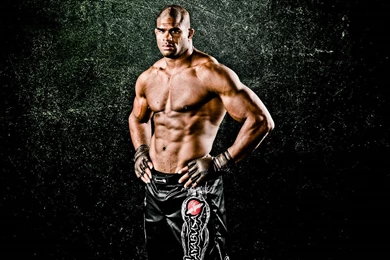 Wallpapers Alistair Overeem Fighting London Olympic 1280x800 ...