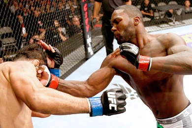Anthony Johnson Wants Alistair Overeem At A Catchweight   SciFighting