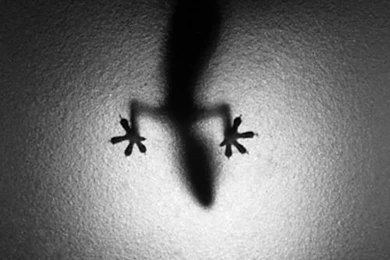 Beautiful Black And White Photography – Smashing Magazine