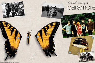 Wallpapers De Paramore Hd   Taringa!