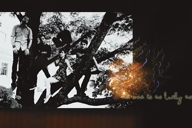 Paramore Wallpapers   Paramore Wallpapers (10135578)   Fanpop