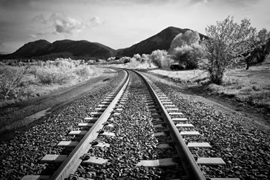 Photography Black And White: Black And White Nature Wallpapers Hd ...