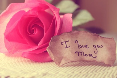 Flower I Love You Wallpapers