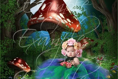 Alice In Wonderland Vol. 2   Digital Fantasy Backgrounds