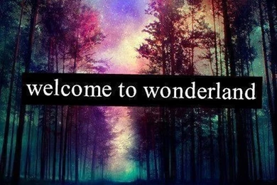 Welcome To Wonderland