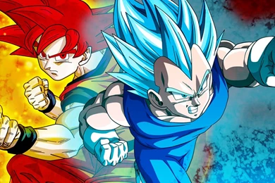 Image   Goku And Vegeta Super Saiyan God Backgrounds By ...