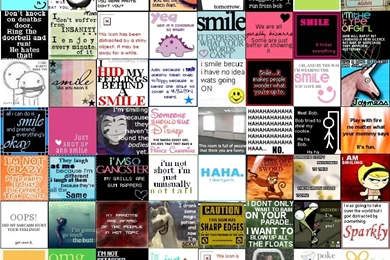 Funny Photo Collage   HD Wallpapers And Pictures