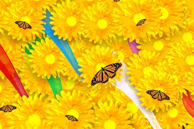 Free Screensavers And Wallpapers   KScreensavers.com