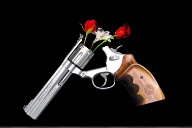 Guns And Roses On Black Backgrounds Wallpapers