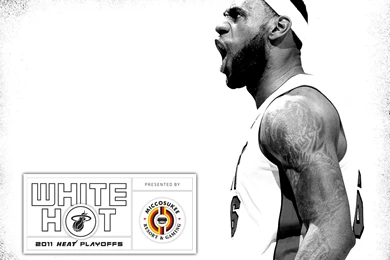 LeBron Heat Basketball Wallpapers   Streetball