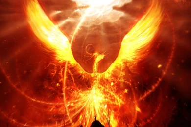 Fire Dragon Phoenix