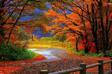 Autumn Nature Wallpapers Wallpaper.